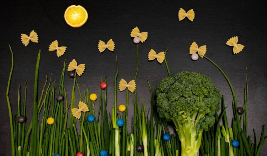 How Specific Nutrients Trigger Cellular Cleanup and Extend Human Healthspan